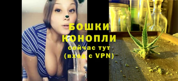 МДПВ Елабуга