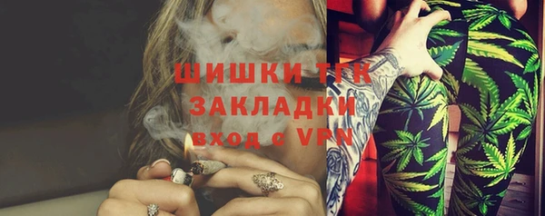 МДПВ Елабуга